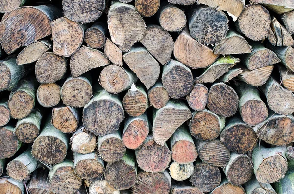Zblízka na hromadu dřeva, zásobu pro zimní oheň velké. — Stock fotografie