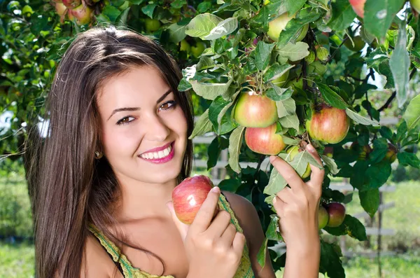 Frau pflückt einen reifen Apfel vom Baum. — Stockfoto