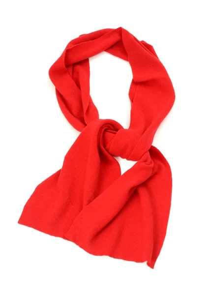 她冬天的红围巾. — 图库照片