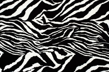 siyah-beyaz zebra desenli. hayvan arka plan olarak yazdırma.