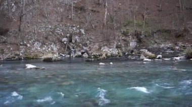 Dzheyrakh vadisinin kayalıklarında akan ve şeffaf mavi suyu olan Assa nehri. Ağaçlar, Ingushetia, Kuzey Kafkasya.