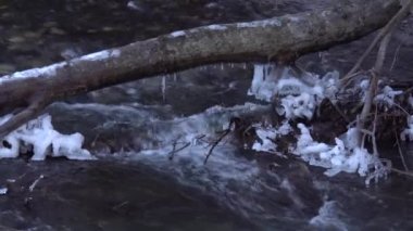 Guloyhi Nehri 'nin yakınındaki Guloyhi Nehri' nin karlı dalları ve Guloykhi Vadisi, Ingushetia, Kuzey Kafkasya 'daki taşlar arasında eriyen temiz suyla