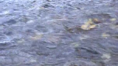 Guloyhi Nehri 'nin hemen akan ve şeffaf suları. Kuzey Kafkasya, Ingushetia Cumhuriyeti' nin Guloykhi Vadisi 'nin dibinde kayalar var.