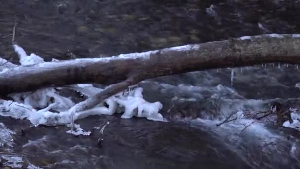 Nahaufnahme Des Fließenden Transparenten Gletscherwassers Des Hochgebirgsflusses Guloyhi Zwischen Den — Stockvideo