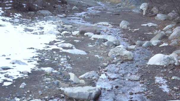 Nahaufnahme Des Gletscherflusses Guloyhi Und Bergklippen Mit Bäumen Und Schnee — Stockvideo