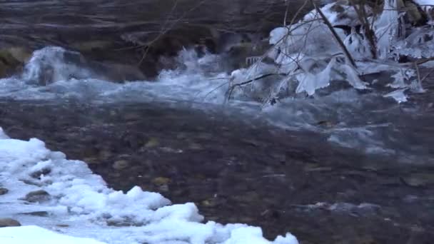 Detailní Záběr Horské Ledovcové Řeky Guloyhi Mezi Sněhem Větvemi Stromů — Stock video