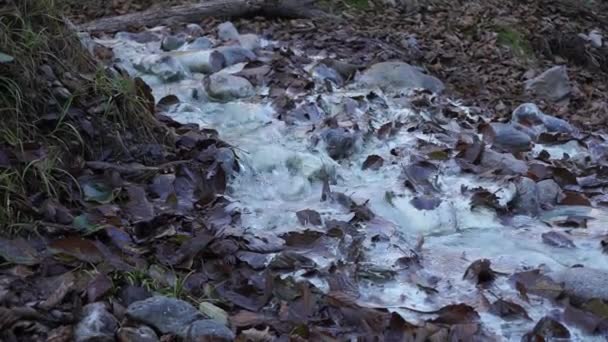 アッシンスキー峡谷とデズヘラフスキー峡谷 イングスヘティア 北コーカサスの間の高い山の峠に白い流れる水で山の硫黄と二酸化炭素の泉の近く — ストック動画