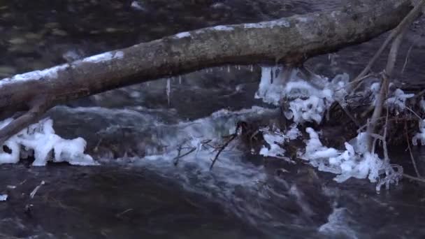 Nahaufnahme Des Frischen Alpinen Guloyhi Flusses Mit Schmelzendem Klaren Wasser — Stockvideo