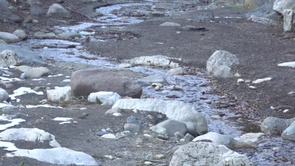 Εισροή Του Ποταμού Guloyhi Παγωμένα Νερά Πέτρες Και Τάλους Στο — Αρχείο Βίντεο