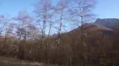 Dzheyrakhsky Vadisi 'nin yüksek uçurumlarının manzarası sonbahar ağaçları ve geçen bir yol olan Ingushetia, Kuzey Kafkasya' dan kayalık kayalıklarla kaplı.
