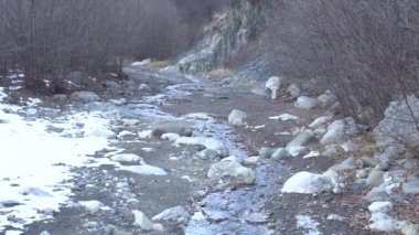 Guloyhi Nehri 'nin dağlık ve şeffaf bir dağ kolunun panoraması. Kuzey Kafkasya' daki Guloykhi Vadisi 'nde taşlar ve ağaçlar var.