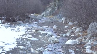 Guloyhi nehrinin kayalık bir vadi ve buzullu bir dağ kolunun manzarası Kasım ayında Guloykhi vadisinde ağaçlar ve karla kaplı, Ingushetia, Kuzey Kafkasya