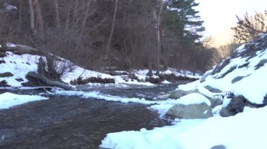 Ağaçlarla ve hızla akan Guloyhi nehri ile kıyı manzarası Ingushetia Cumhuriyeti, Kuzey Kafkasya 'nın Guloykhi Vadisi' nde buzla kaplı.