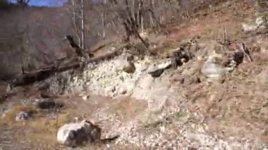 Arabadan Dzheyrakhsky vadisine, Ingushetia 'ya, Kuzey Kafkasya' ya kadar...