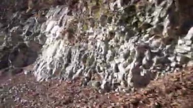 Dzheyrakhsky geçidinde ağaçlarla, Ingushetia, Kuzey Kafkasya 'daki dağlık kayalıklarda hareket halindeki bir araçtan görüntüler