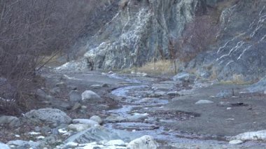Kasım ayında Guloykhi Vadisi, Ingushetia, Kuzey Kafkasya 'da, ağaçlar ve karla kaplı buzul Guloyhi nehrinin dağ geçidine bakın.