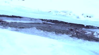Guloyhi nehri, Ingushetia, Kuzey Kafkasya 'da buzla kaplı dağ suyu manzarası