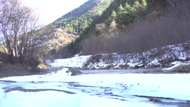 北高加索印古什Guloykhi峡谷秋天的高山全景 山上覆盖着针叶树和雪 — 图库视频影像