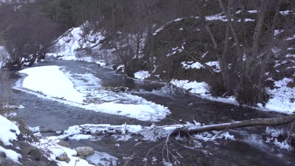 Panorama Des Eiszeitlichen Gebirgsflusses Guloyhi Mit Bäumen Und Schnee Der — Stockvideo