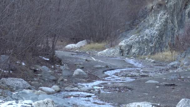 位于北高加索印古什Guloyhi岩石峡谷的Guloyhi河支流带冰川流水的山谷全景 — 图库视频影像