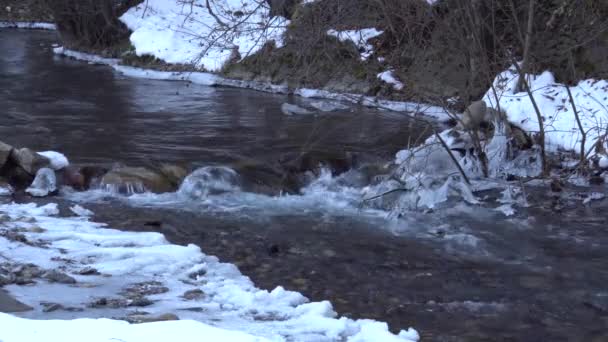 Вид Высокогорную Реку Гулойхи Водой Среди Порогов Камней Снежные Ветки — стоковое видео