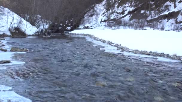 北高加索地区印古什共和国古洛希峡谷的古洛希河快速流淌着冰雪和树木的景观 — 图库视频影像