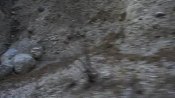 秋の木々や画面 Inguhetia 北コーカサスとDzheiraksky峡谷の高い崖の景色 — ストック動画