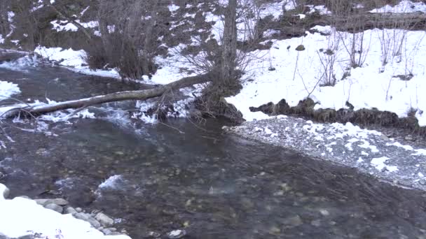 View Mountain Glacial River Guloyhi Clear Water Rocky Gorge Ice — Stock Video