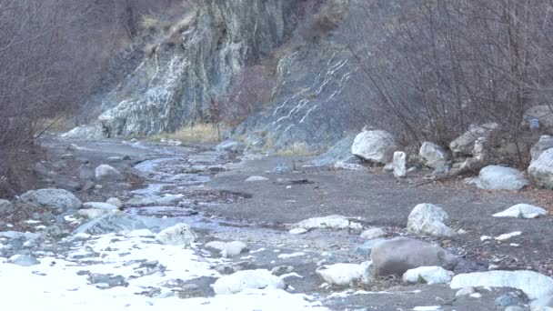 北高加索地区印古什共和国古洛伊克希峡谷的岩石海岸和高速流动的古洛伊希河支流 以及冰雪 树木和石头的景观 — 图库视频影像