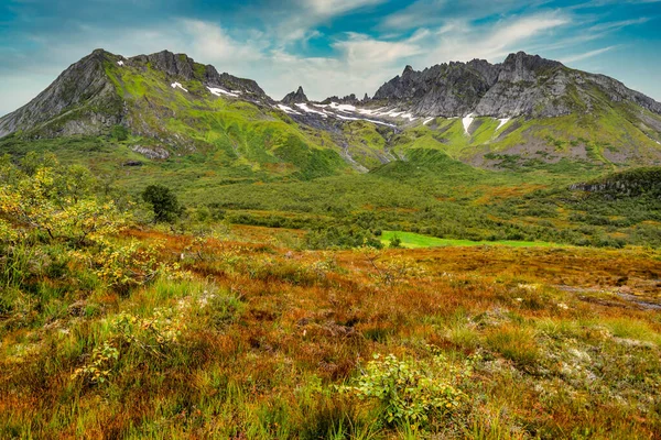 Schöne Berglandschaft Landschaft Sonnigeres Gebiet Norwegen Sommer Einem Schönen Tag — Stockfoto