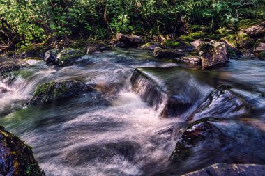 Akan suları, akıntıları, kayaları, arka planda yosunları ve ormanı olan güzel bir nehir, Volda, Norveç 'te uzun süre açıktır.