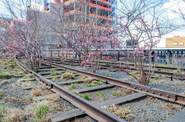 New York 'taki High Line Çatı Parkı' nda ağaçlı tren yolu.