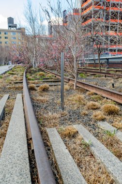 New York 'taki High Line Çatı Parkı' nda ağaçlı tren yolu.