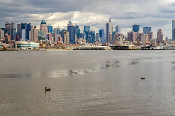 Blick Auf Die Skyline Von Manhattan Nyc Mit Zwei Vögeln — Stockfoto