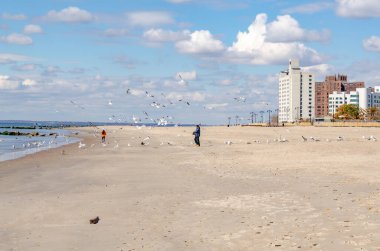 Coney Island Sahili 'nde martıları besleyen adam, etrafında uçan martılar, New York şehri.