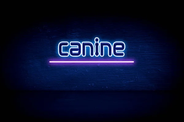 Canine Blue Neon Announcement Signboard — Stock Photo, Image