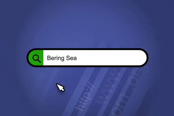 Laut Bering Mesin Pencari Bar Pencarian Dengan Latar Belakang Biru — Stok Foto