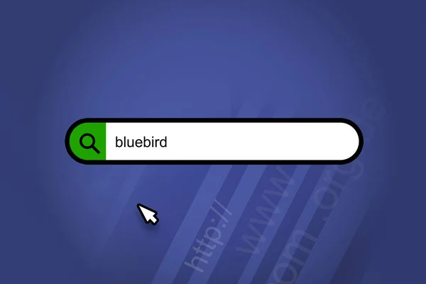 Bluebird Zoekmachine Zoekbalk Met Blauwe Achtergrond — Stockfoto