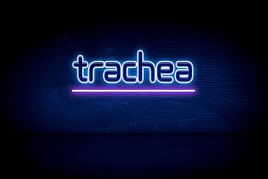 Soluk borusu - mavi neon duyuru tabelası