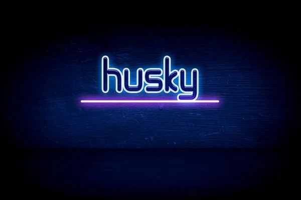 Husky Placa Anúncio Néon Azul — Fotografia de Stock
