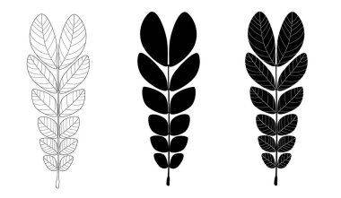 Samanea saman, beyaz arkaplanda üç biçimli, özet, siluet ve beyaz çizgiler şeklinde ayrışır.