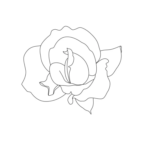 白い背景にバラのアウトラインベクトルイラスト — ストックベクタ