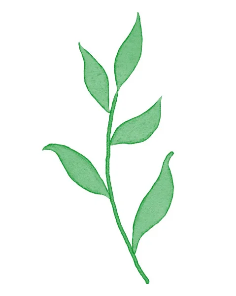 Zöld Növény Levelek Akvarell Texturált Stílus Fehér — Stock Fotó