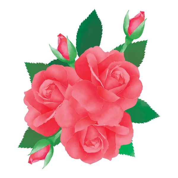 Bunch Red Watercolor Roses Green Leaves Digital Painting Illustrations White — Zdjęcie stockowe