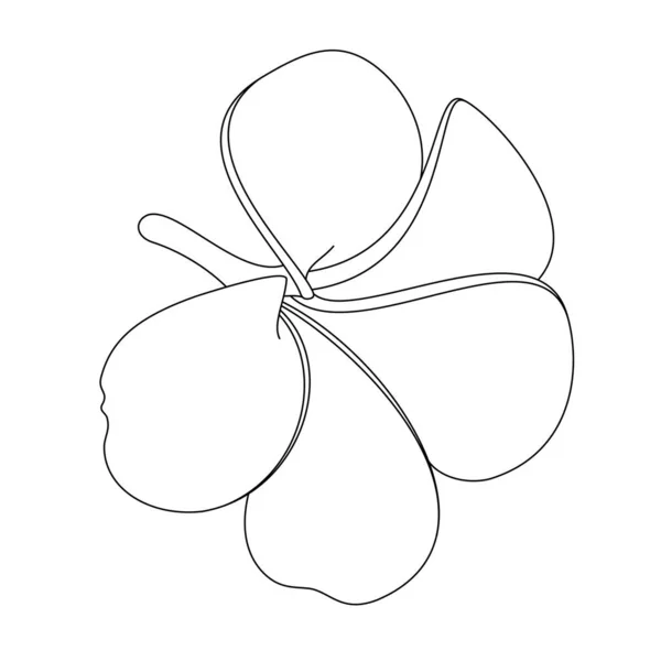 Plumeria Kwiat Zarys Szkic Doodle Białym Tle — Zdjęcie stockowe