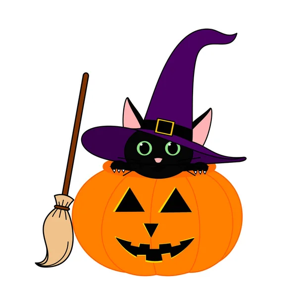 Catloween Black Magic Cat Pumpkin Pot Halloween — Foto Stock