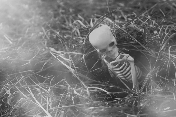 Odrodzenie Śmierci Ziemi Szkielet Wyskoczył Grobu Dzień Halloween — Zdjęcie stockowe