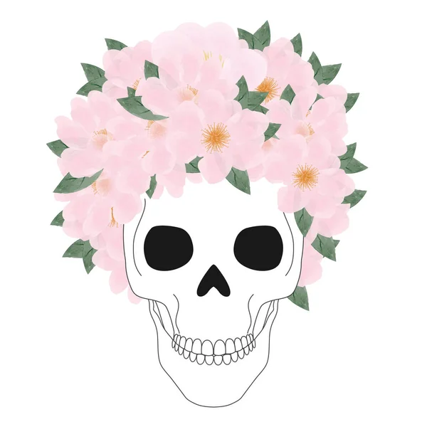 Death Skull Beautiful Pink Roses Head Illustration Design White Background — стоковое фото