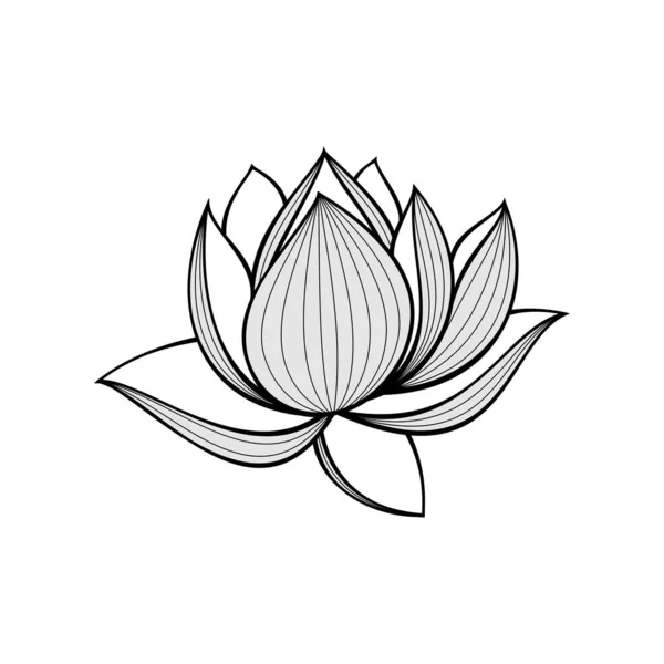 Monochrome Lotus Floral Design White Background — Fotografia de Stock