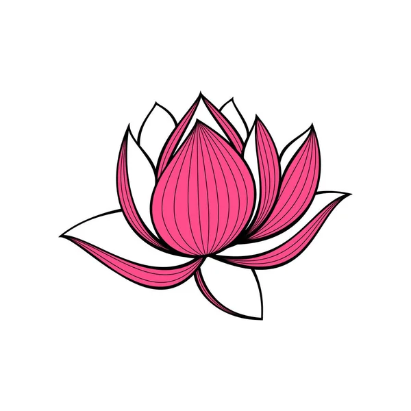 Pink lotus graphic design on white background.